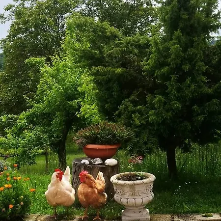 Il Poggio Di Valle Lunga Agroturismo Montesano sulla Marcellana